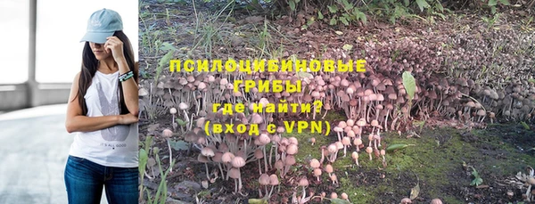 спайс Алзамай