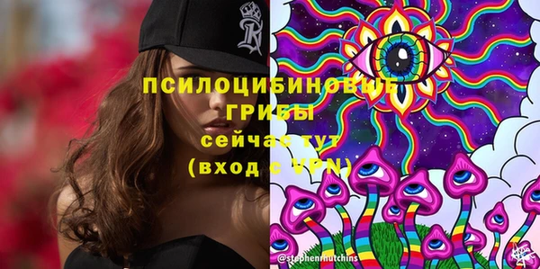 спайс Алзамай