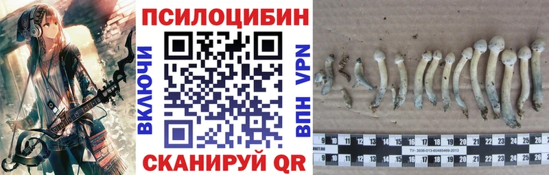 hydra вход  даркнет сайт  Дно  Галлюциногенные грибы мицелий 